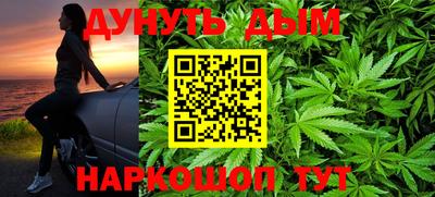 прущие грибы Лесосибирск