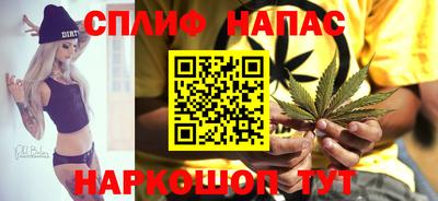 прущие грибы Лесосибирск