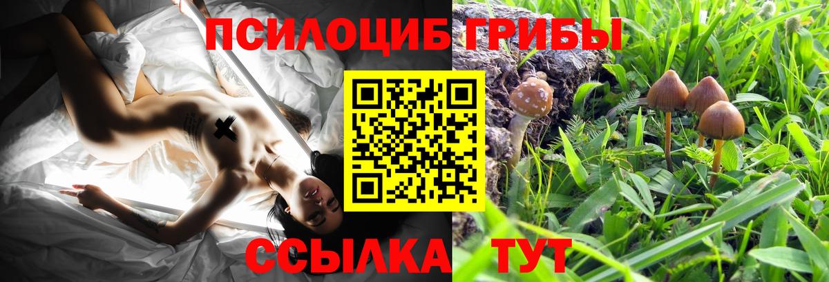 Галлюциногенные грибы MAGIC MUSHROOMS  Вход с VPN  Псилоцибиновые грибы Cubensis  Зеленокумск 
